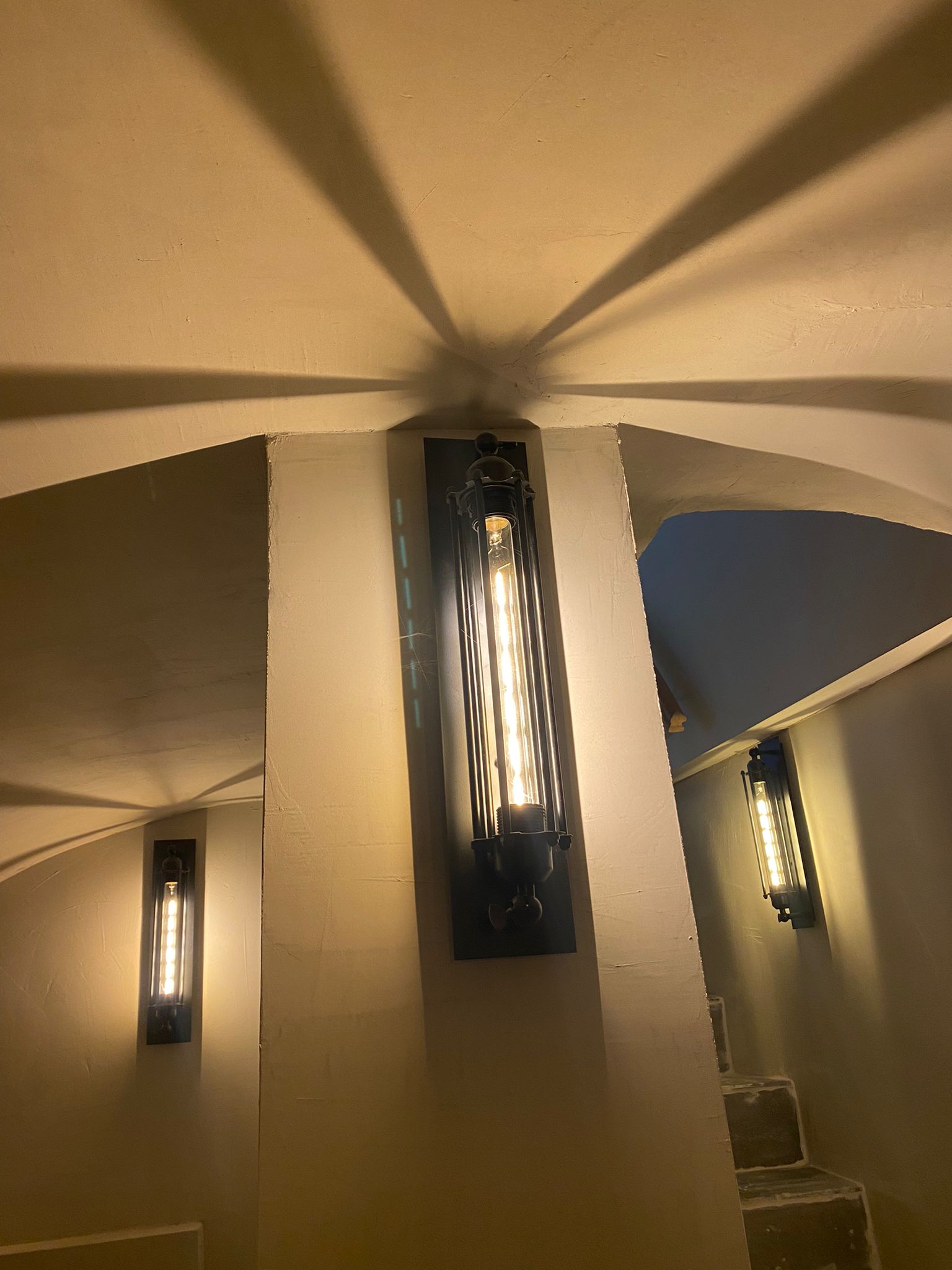 Werfkelder met vochtproblemen